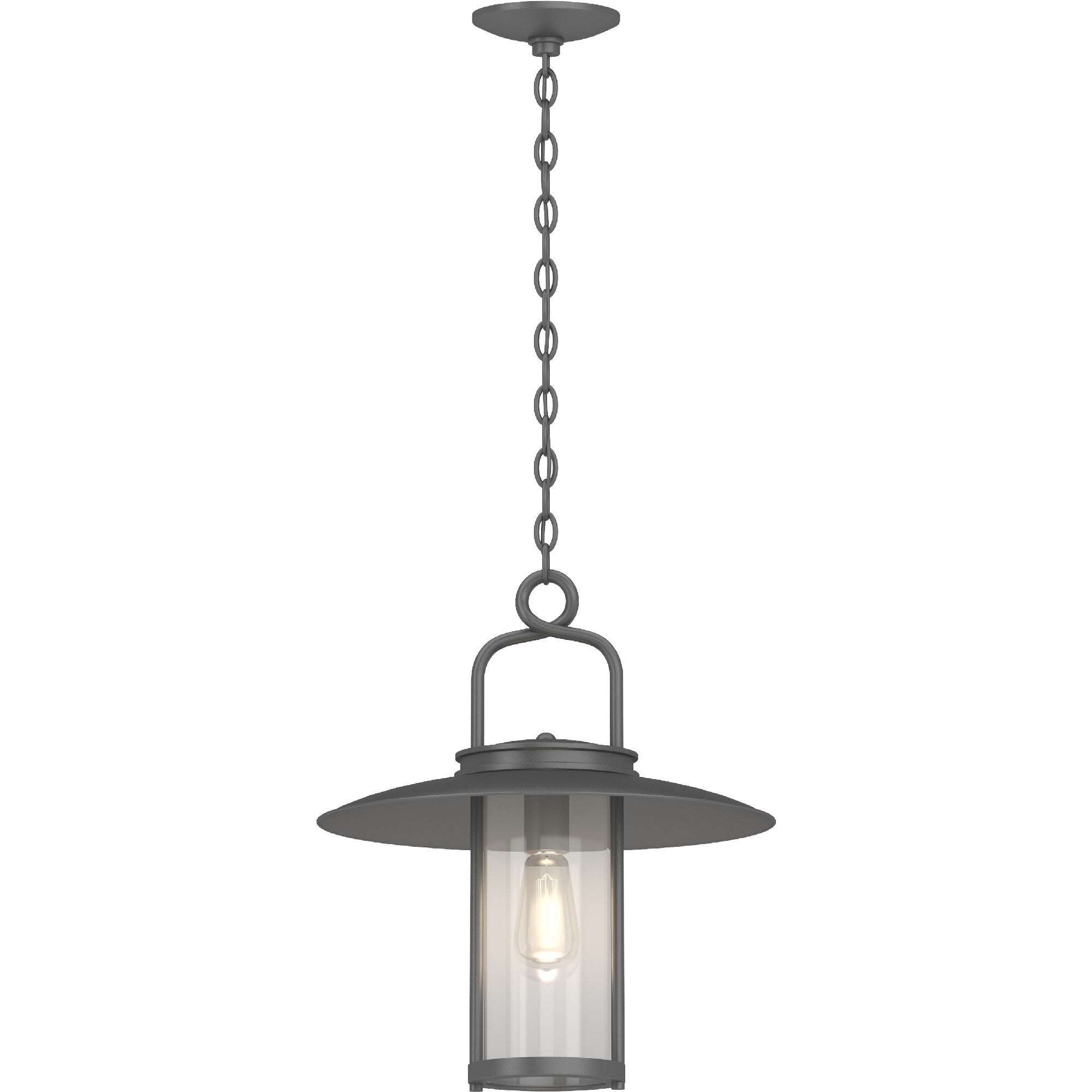 Volume Lighting 1-Light Black Outdoor Lantern Pendant - Mycitystee
