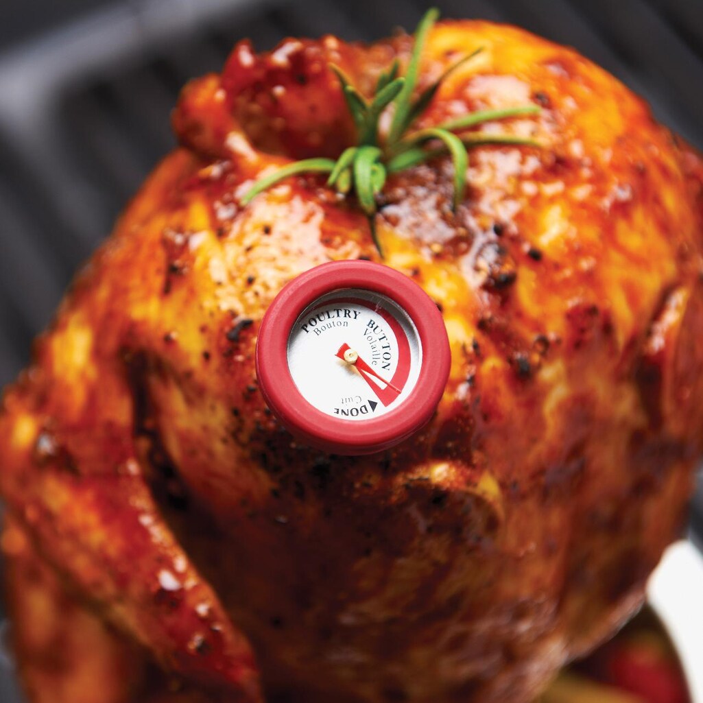 Broil King 2-Inch Mini BBQ Thermometers With Silicone Bezel - Mycitystee