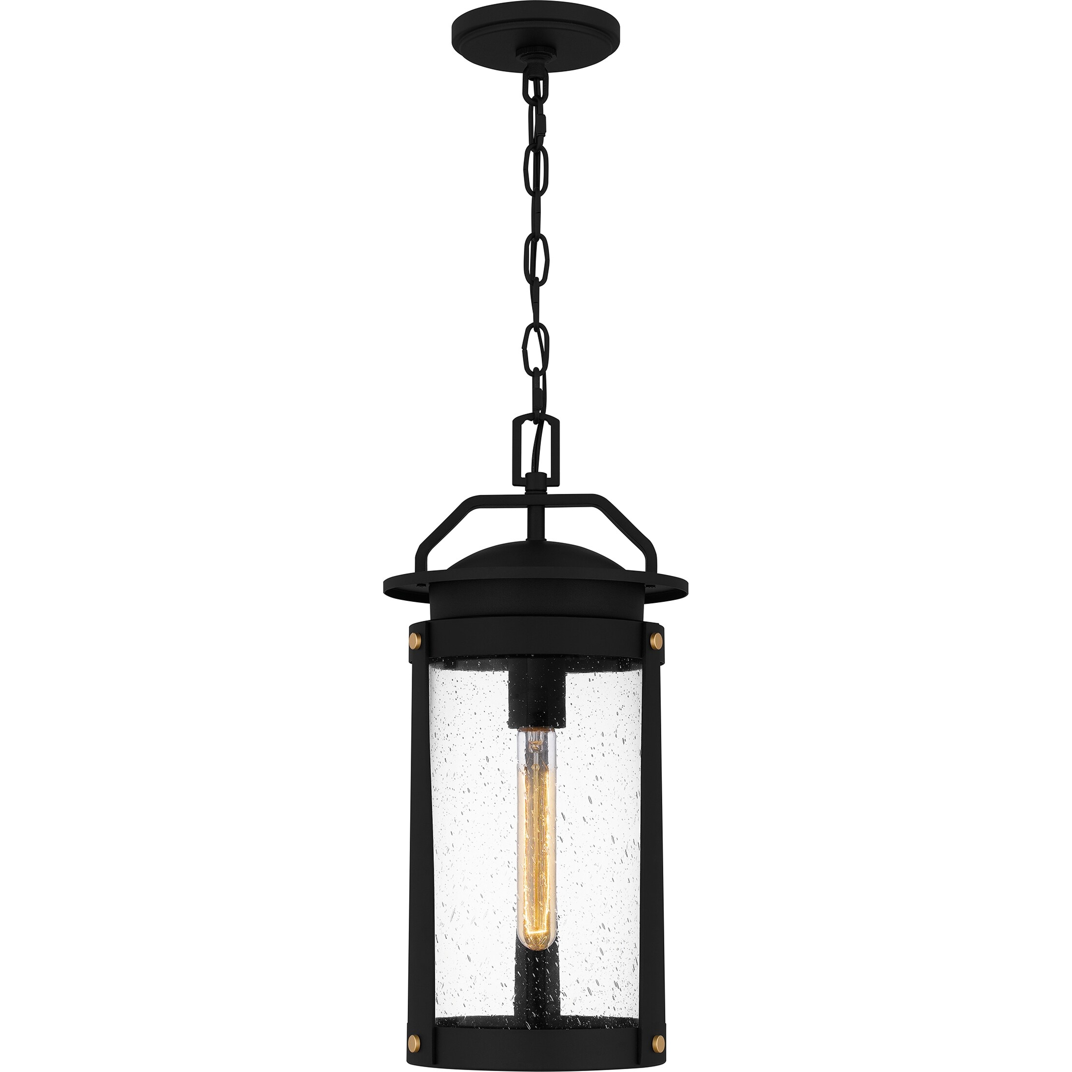 Clifton 1-Light Earth Black Outdoor Hanging Lantern|Black - Mycitystee