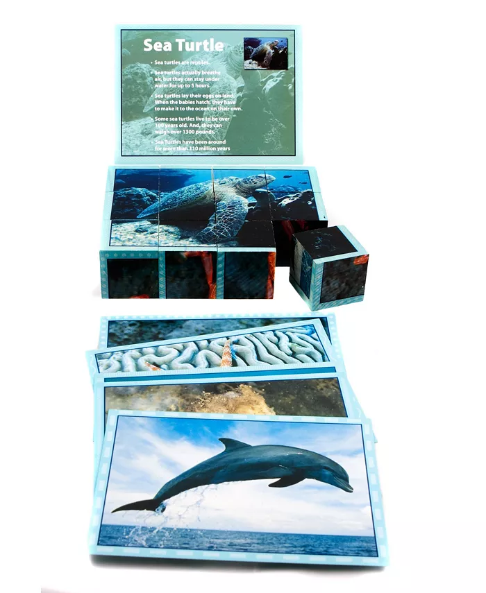 Stages Learning Materials Real Picture Sea Life Wooden Cube Puzzle 12 Piece - Mycitystee