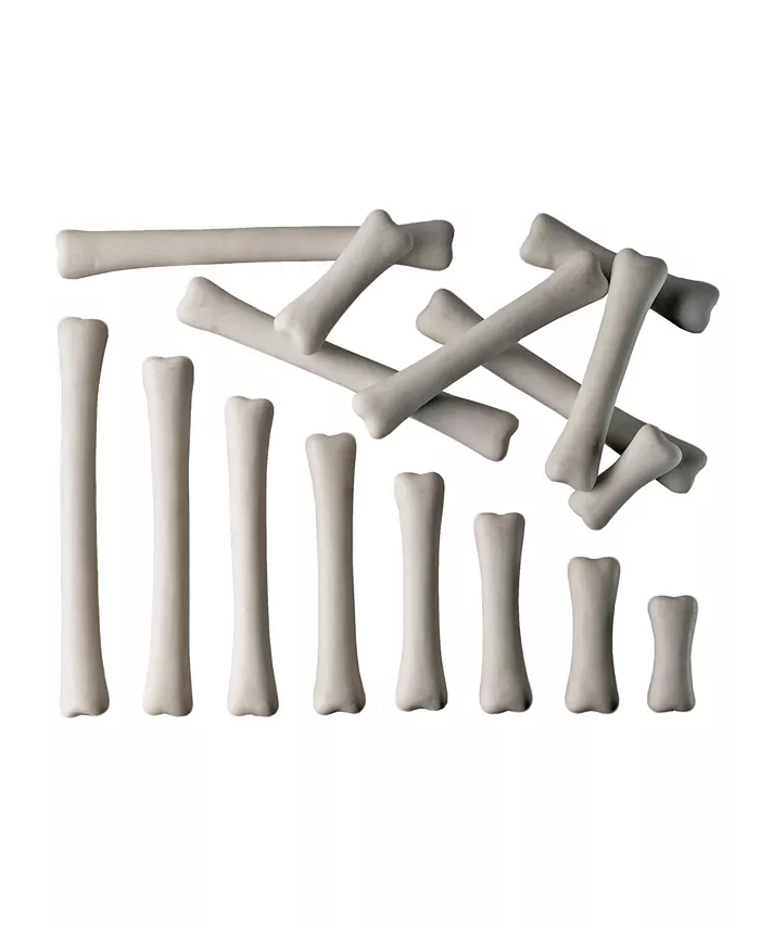 Yellow Door Dinosaur Bones Match Measure， Set of 16 - Mycitystee