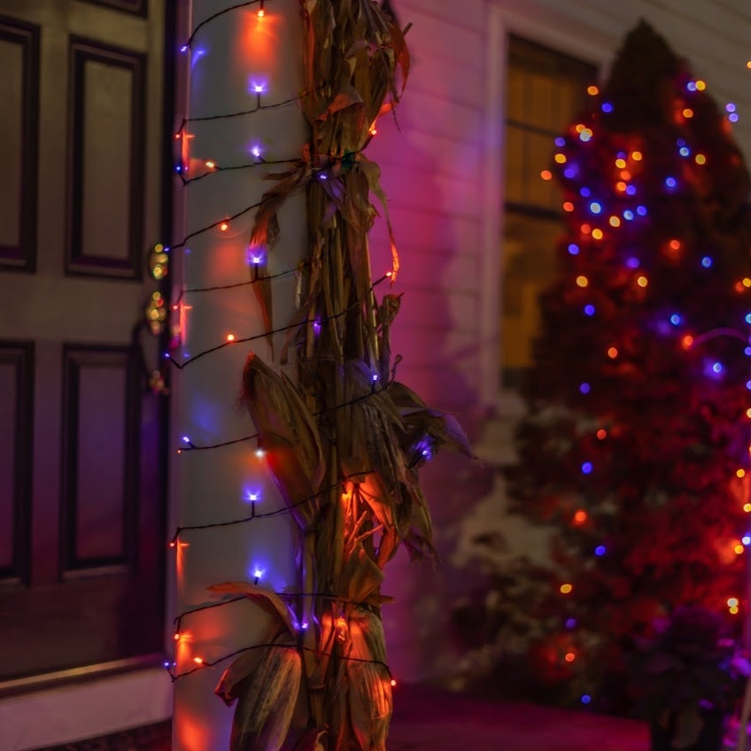 Solar-powered 125 Purple and Orange LED String Light - Mycitystee