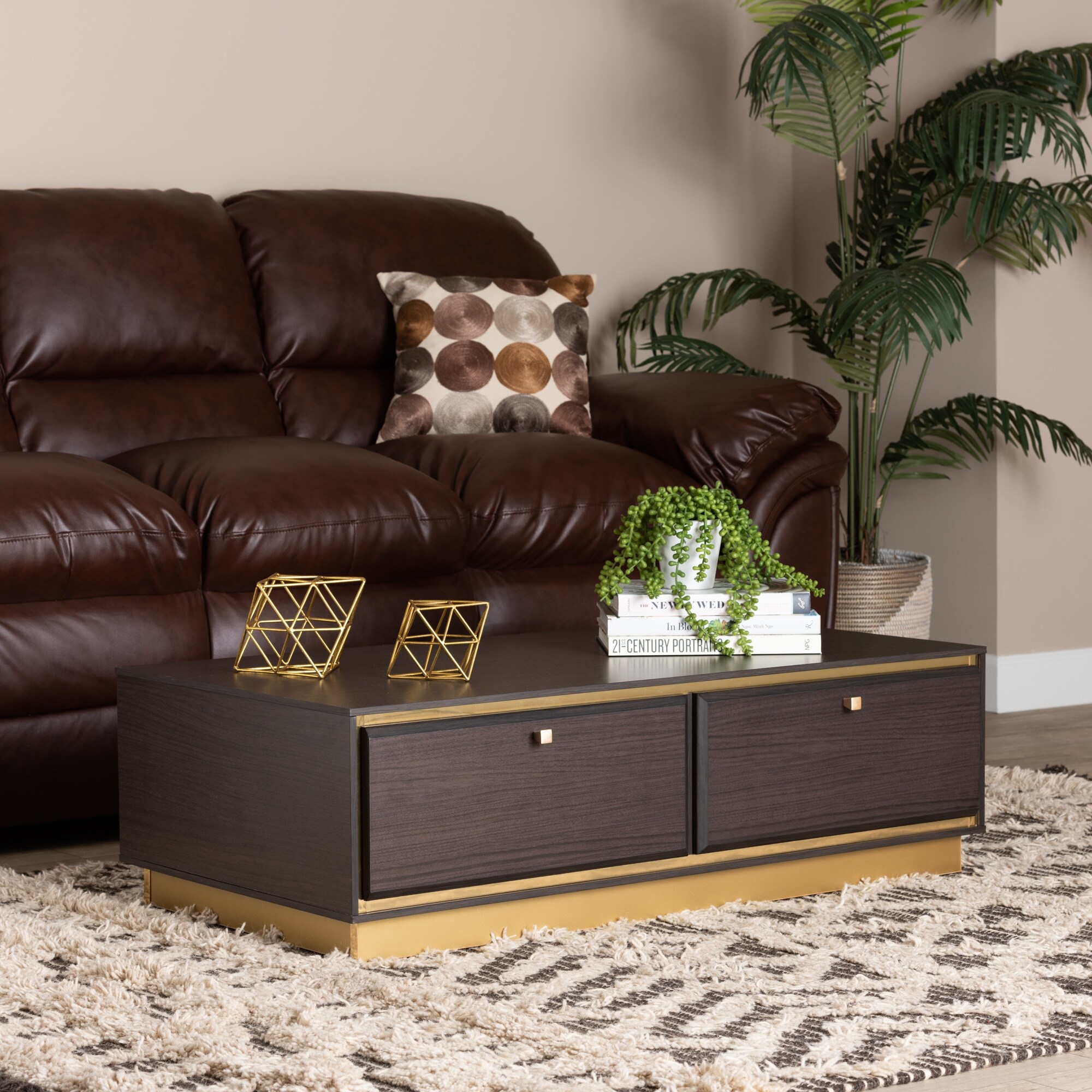 Cormac Transitional Wood and Metal 2-Drawer Coffee Table - Mycitystee