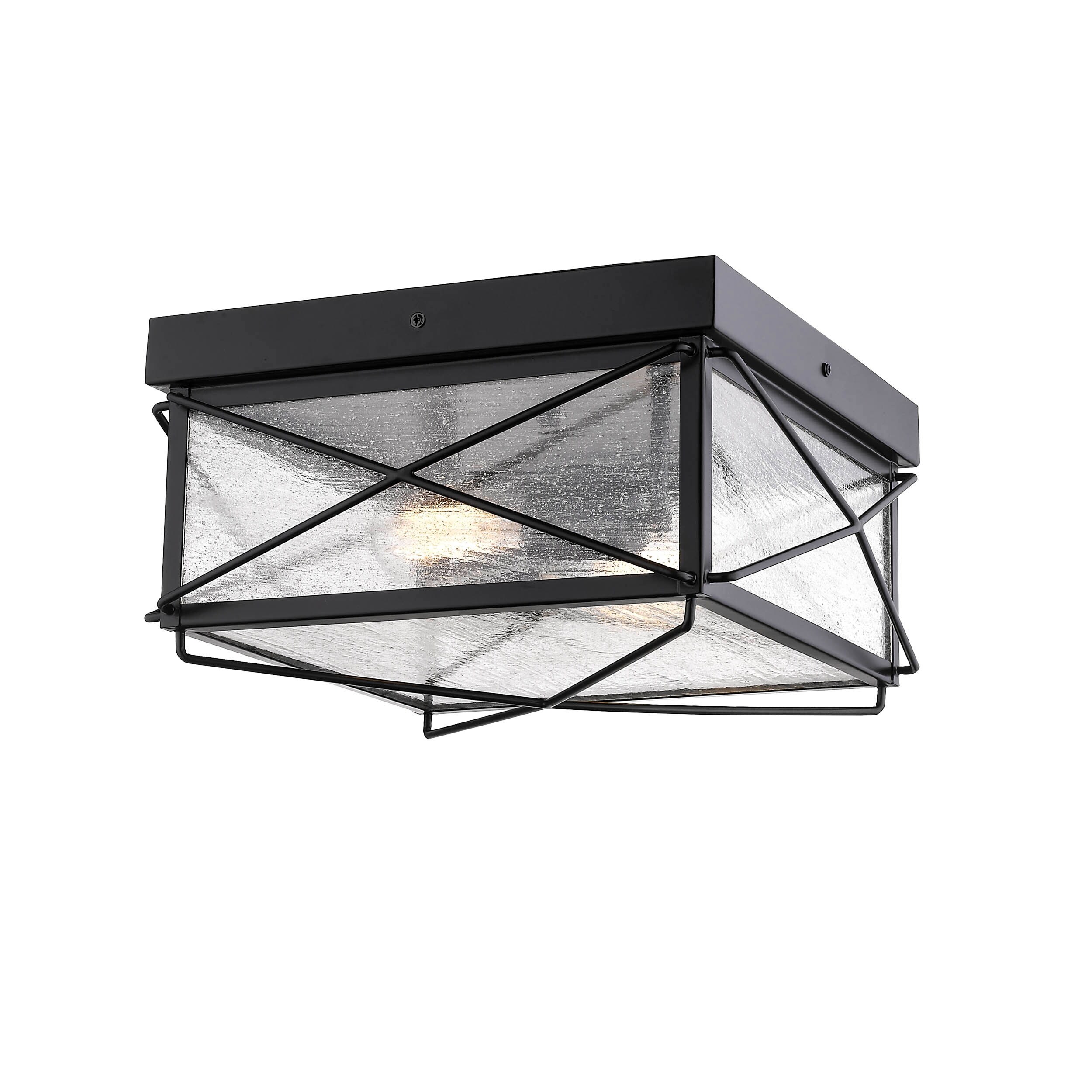 Millennium Lighting Robinson 2 Light Indoor/Outdoor Flush Mount Fixture with Clear Seeded Glass - Mycitystee
