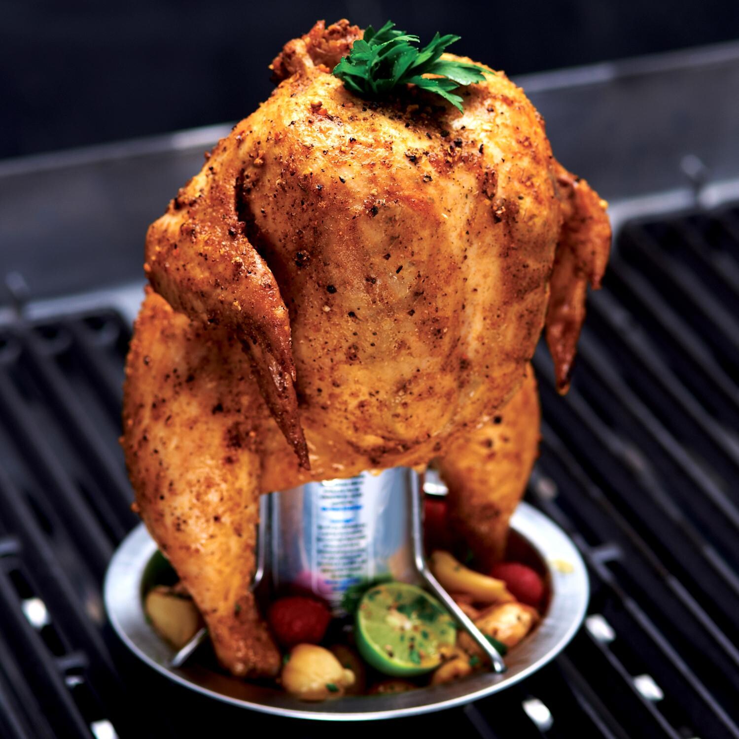 Stainless Steel Chicken Roaster With Silicone Brush - Mycitystee