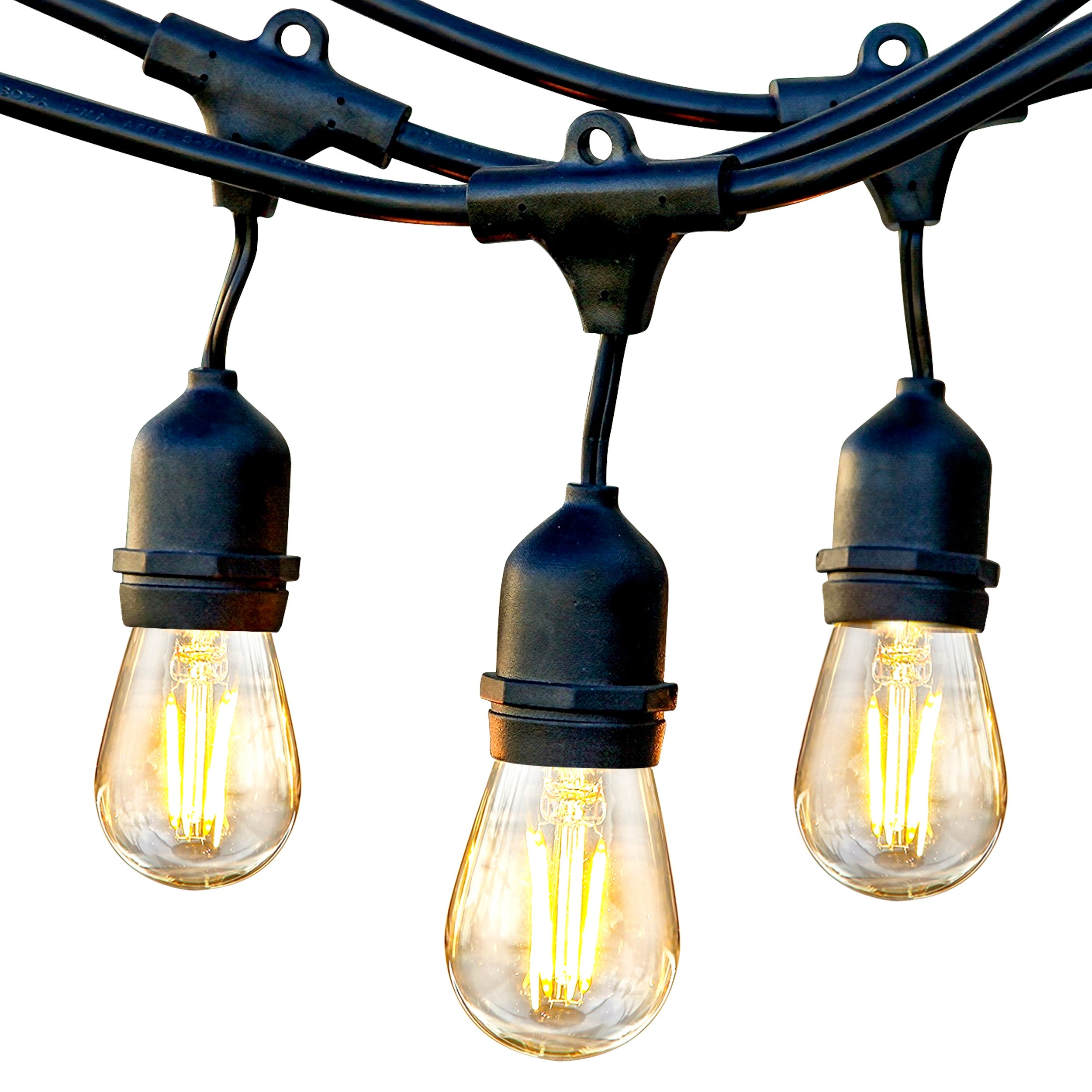 15 Glass LED Bulbs， 48 Ft Commercial Grade 1W String Lights Shopping - The Best Deals on String Lights | 39576555 - Mycitystee