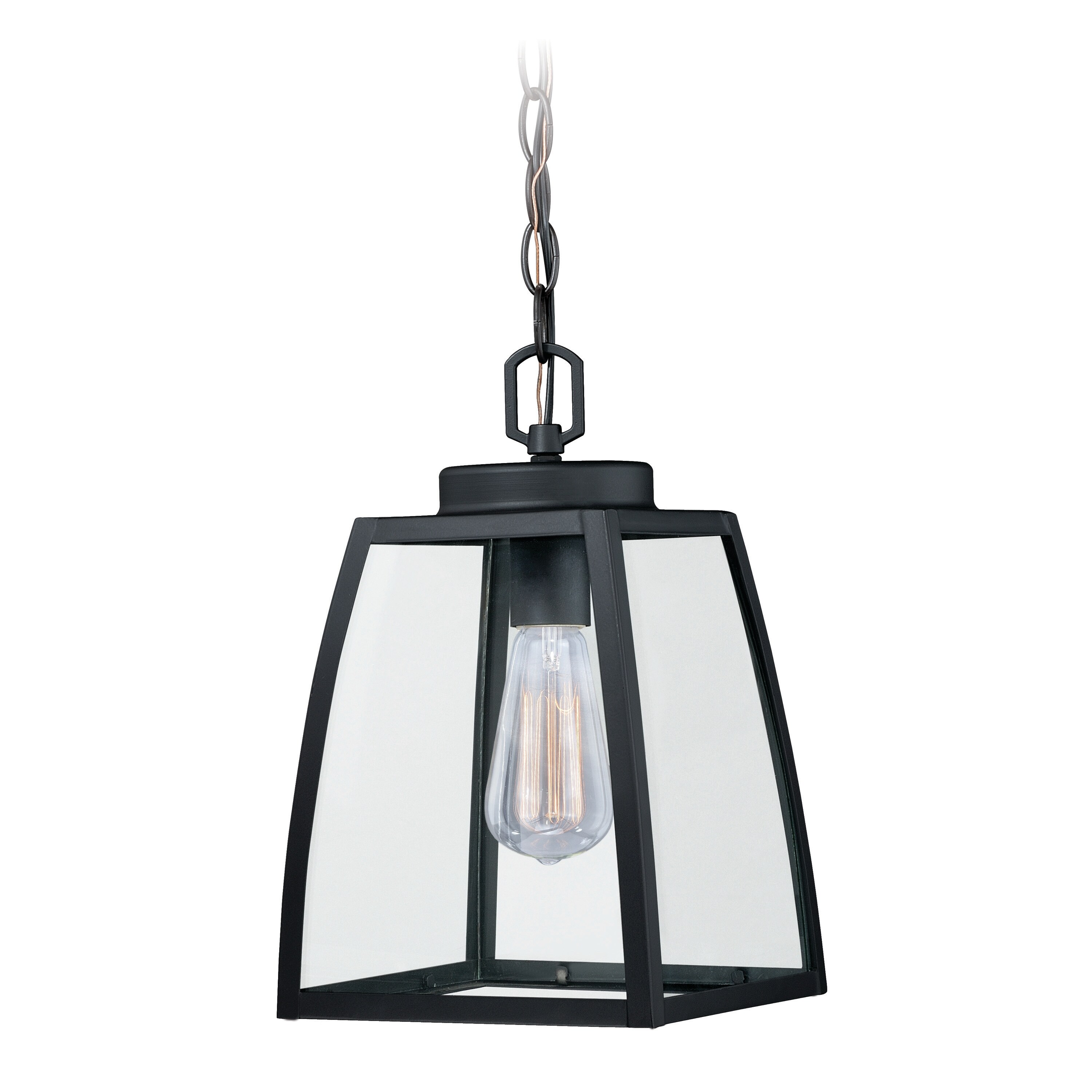 Granville 1 Light Bronze Outdoor Lantern Pendant Clear Glass - 8-in W x 13-in H x 8-in D - Mycitystee