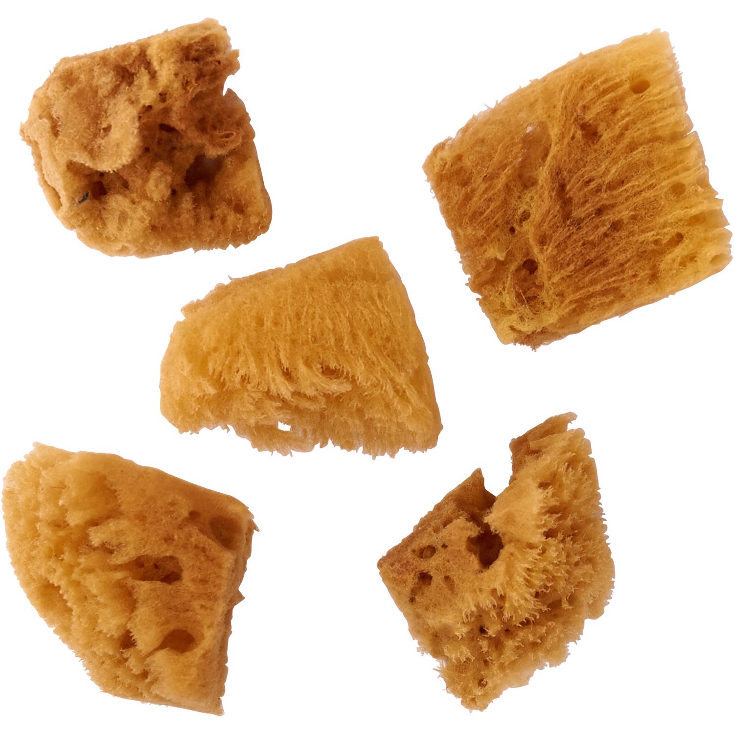 Plaid FoldArt Assorted Sea Sponge - Mycitystee