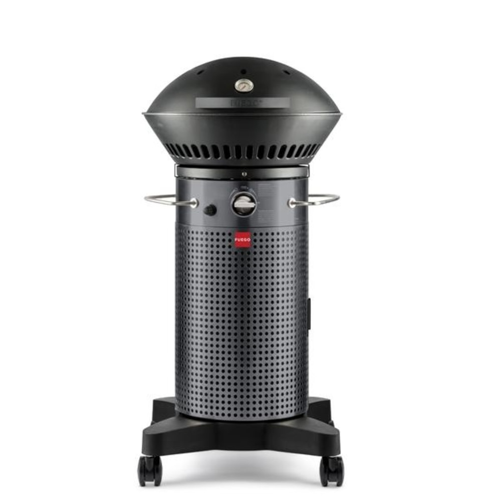 Fuego 21 Element 2 Burner Propane Gas Grill - Mycitystee
