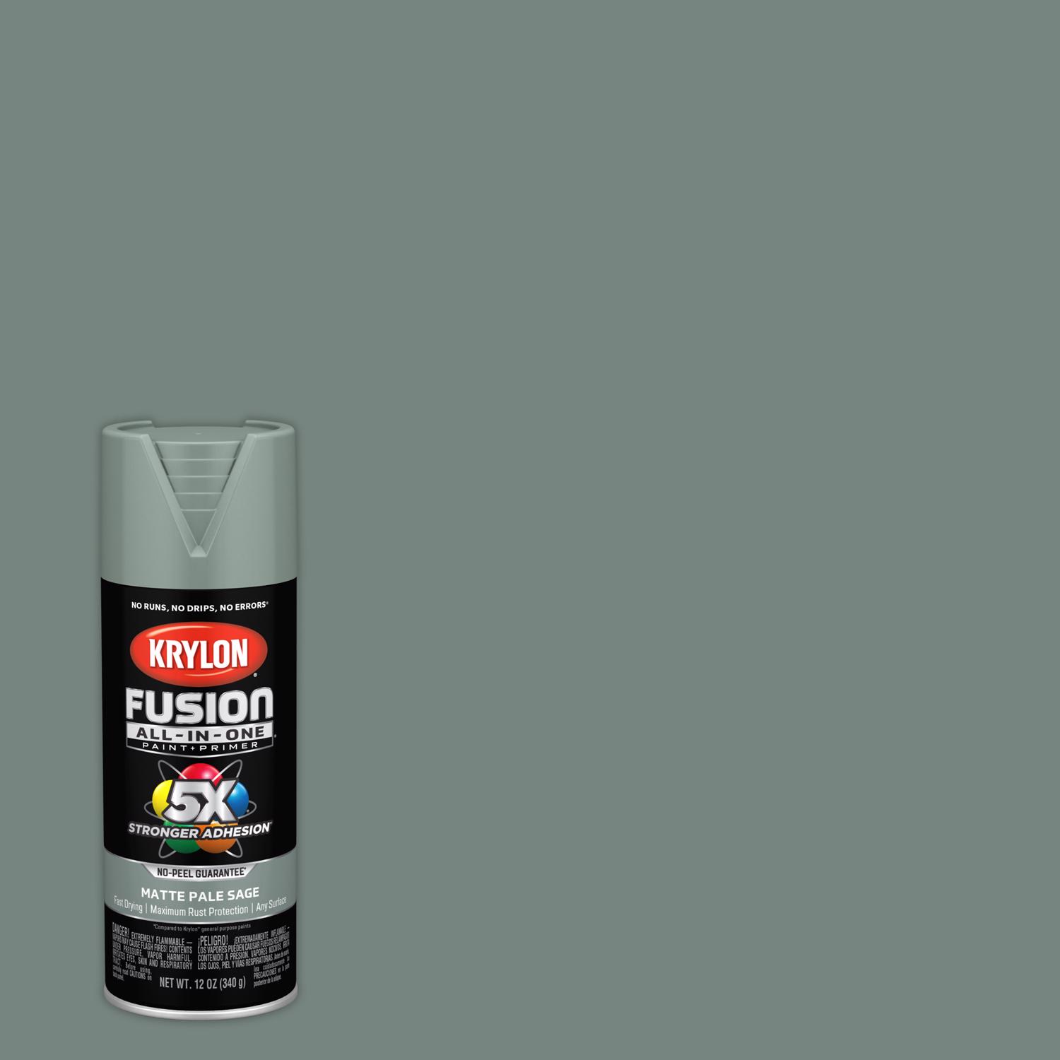 Krylon Fusion All-In-One Matte Pale Sage Paint+Primer Spray Paint 12 oz - Mycitystee
