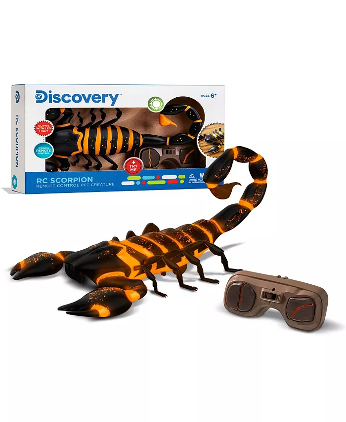 Discovery Kids RC Scorpion， Glow In The Dark Body， Wireless Remote-Control Toy for Kids - Mycitystee