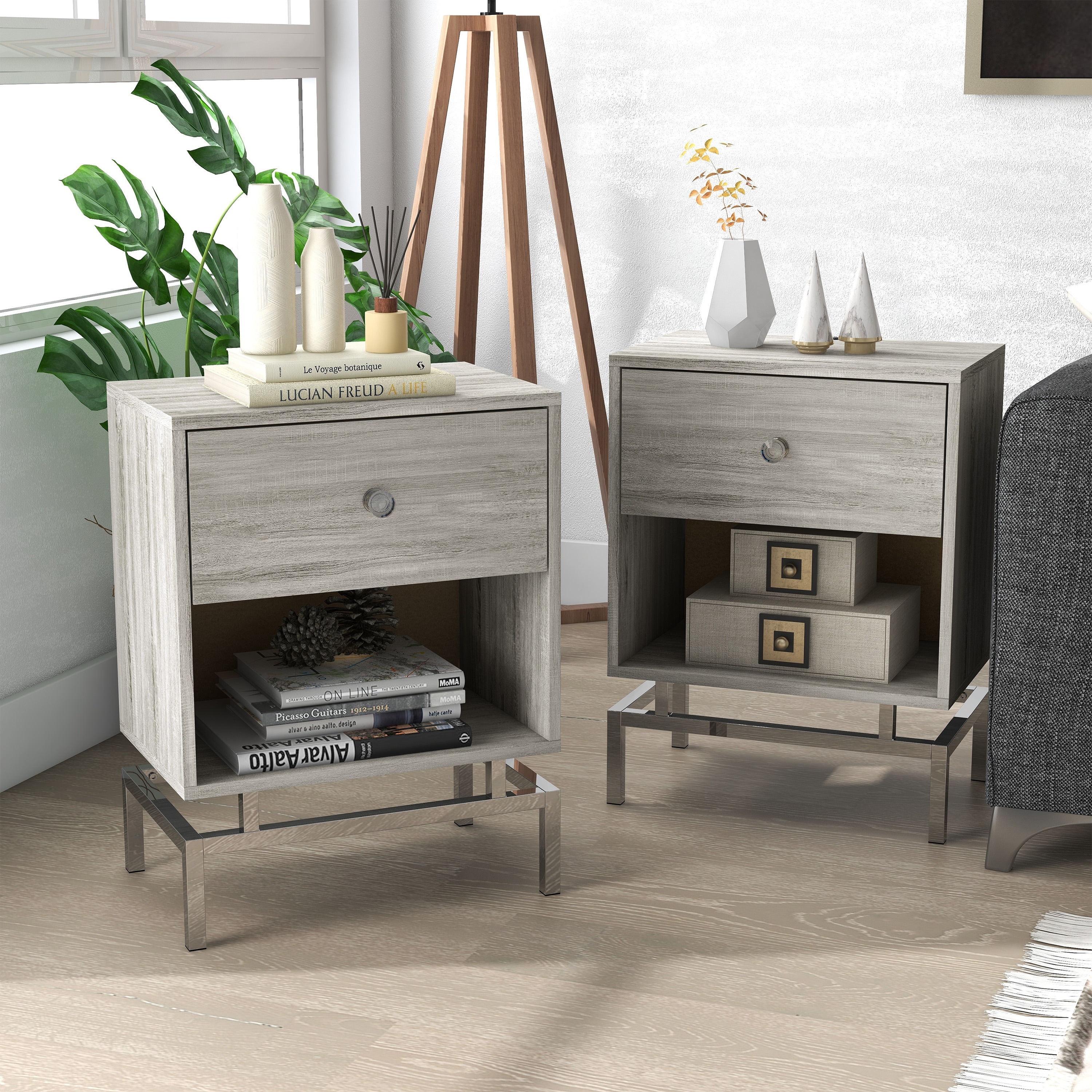 Furniture of America Camelia Contemporary 18-inch Side Table (Set of 2) - Mycitystee