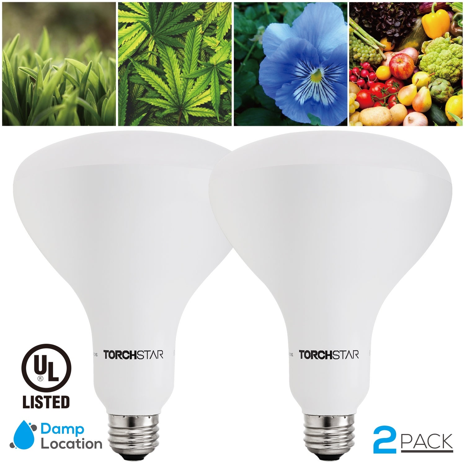 14W BR40 Grow Light， Full Spectrum Hydroponic Lighting Bulb for Accelerating Plant Growth - Mycitystee