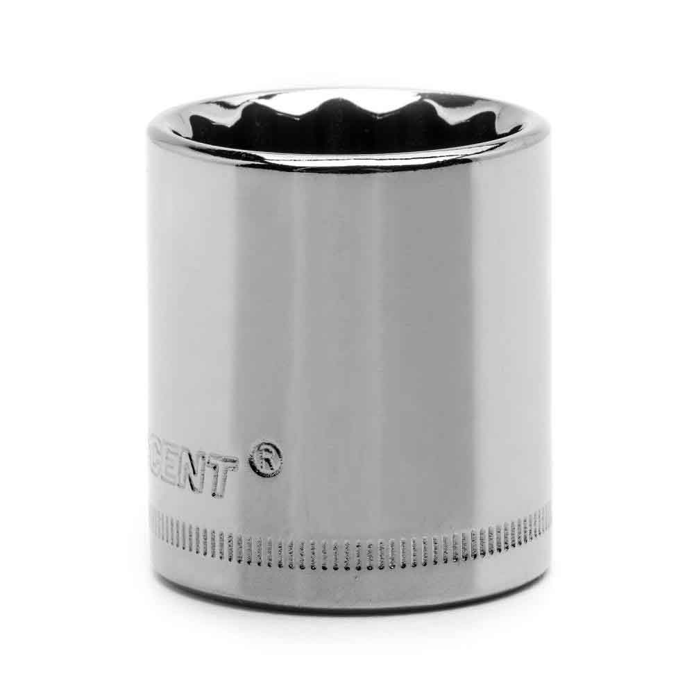 SOCKET，1/2 DRIVE，19MM，12PT - Mycitystee
