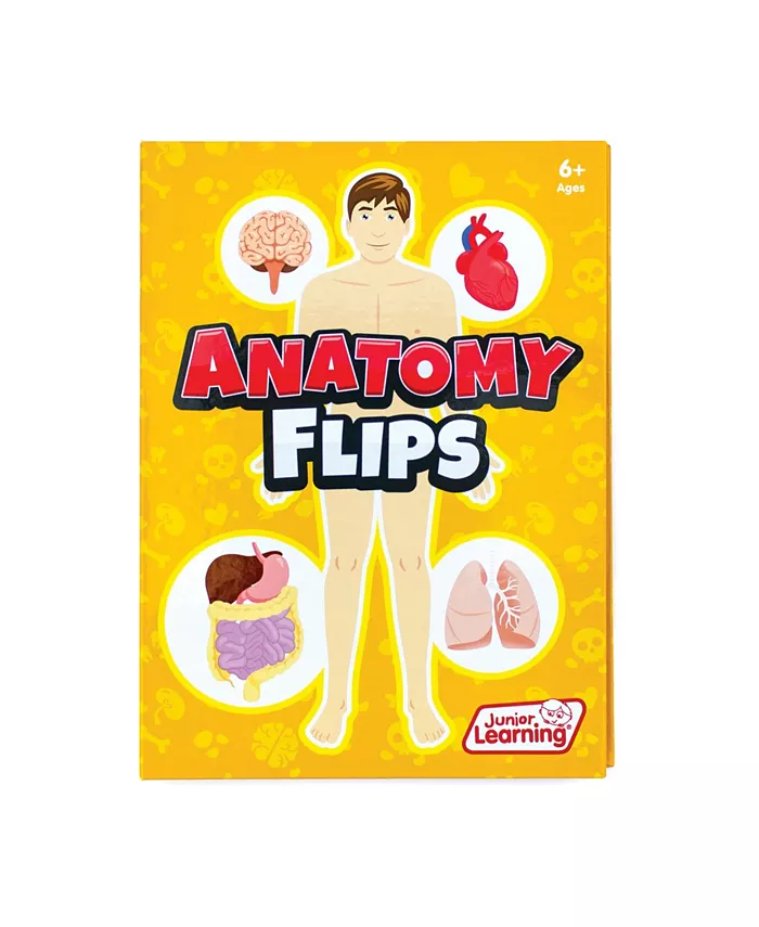 Junior Learning Anatomy Flips Educational Learning Book - Mycitystee