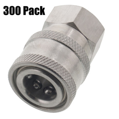 300 Pressure Washer 1/4