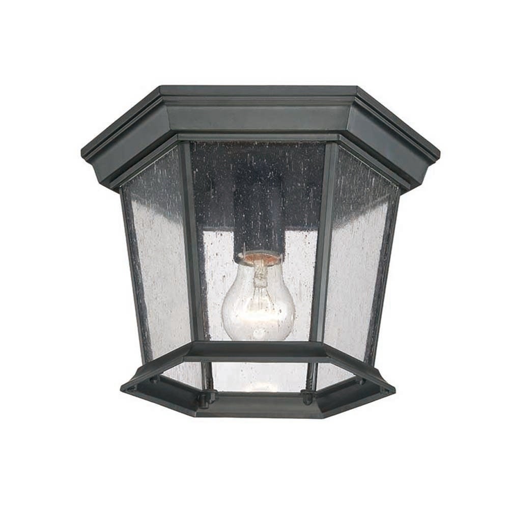 Dover 1-Light Matte Black Outdoor Ceiling Mount Fixture - Mycitystee
