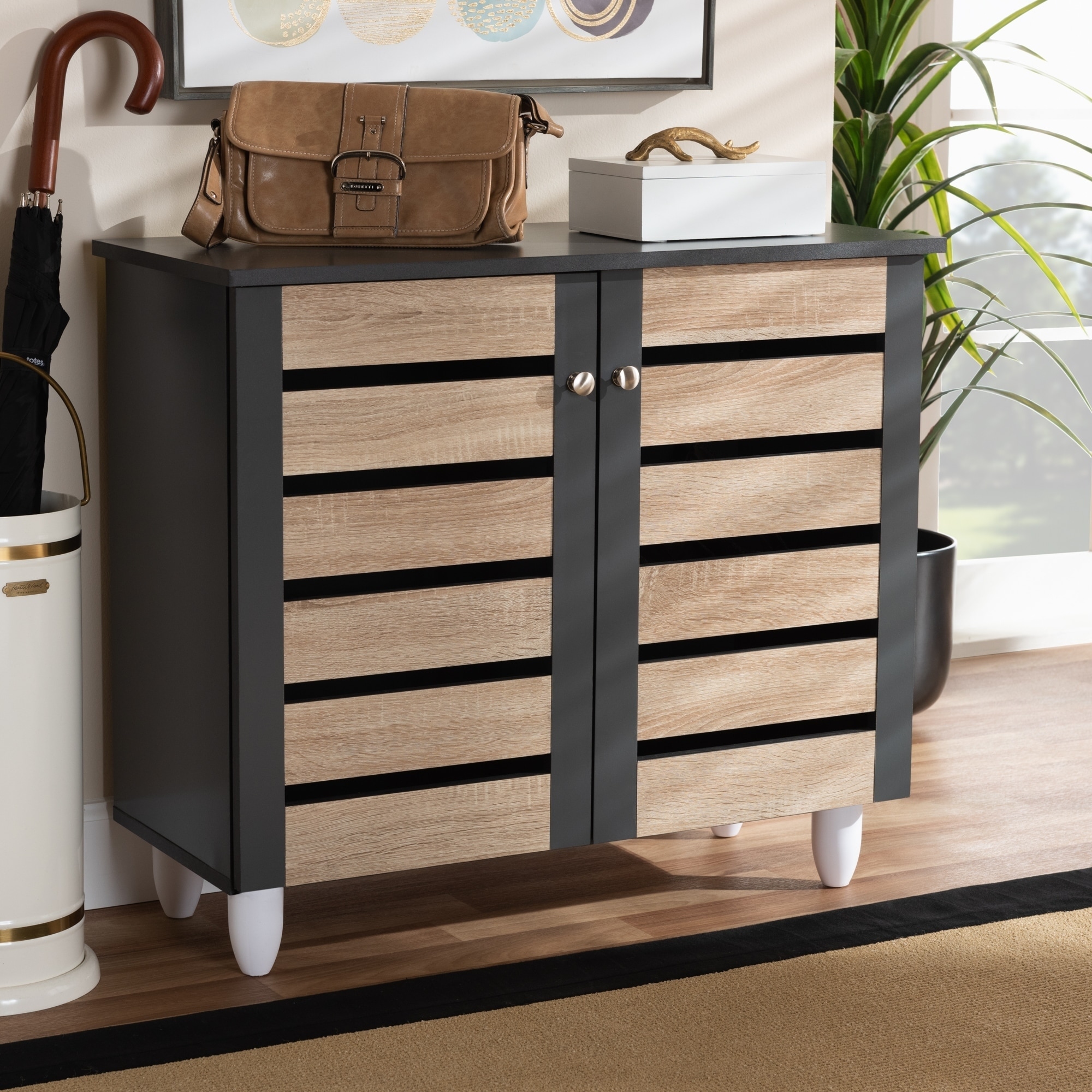 Contemporary Shoe Storage Cabinet - - 26396256 - Mycitystee