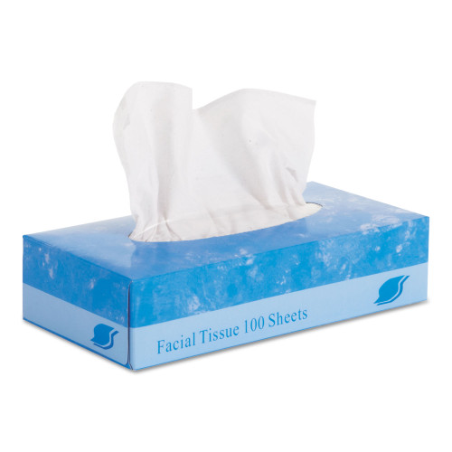 GEN Facial Tissue，  2-Ply， White， Flat Box， 100 Sheets/Box， 30 Boxes/Carton (6501) - Mycitystee