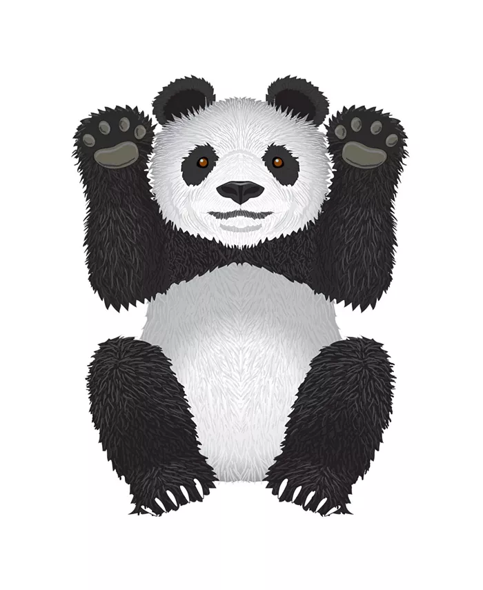 WindNSun Skyzoo Polyester Ripstop Panda Kite， 40