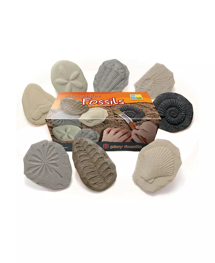 Yellow Door Let's Investigate Fossil Stone， Pack of 8 - Mycitystee