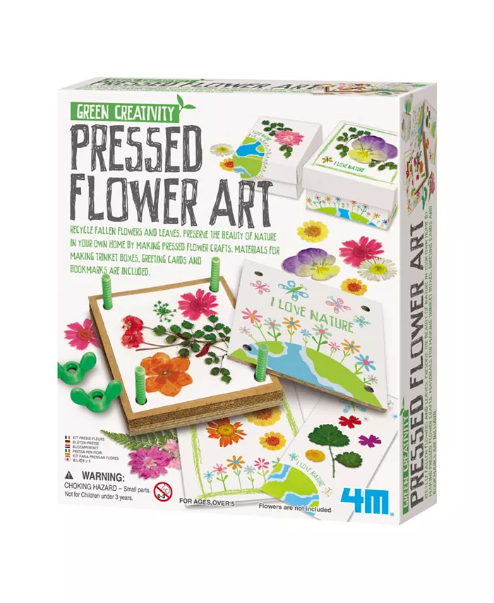 4M Green Creativity Pressed Flower Art Kit - Mycitystee