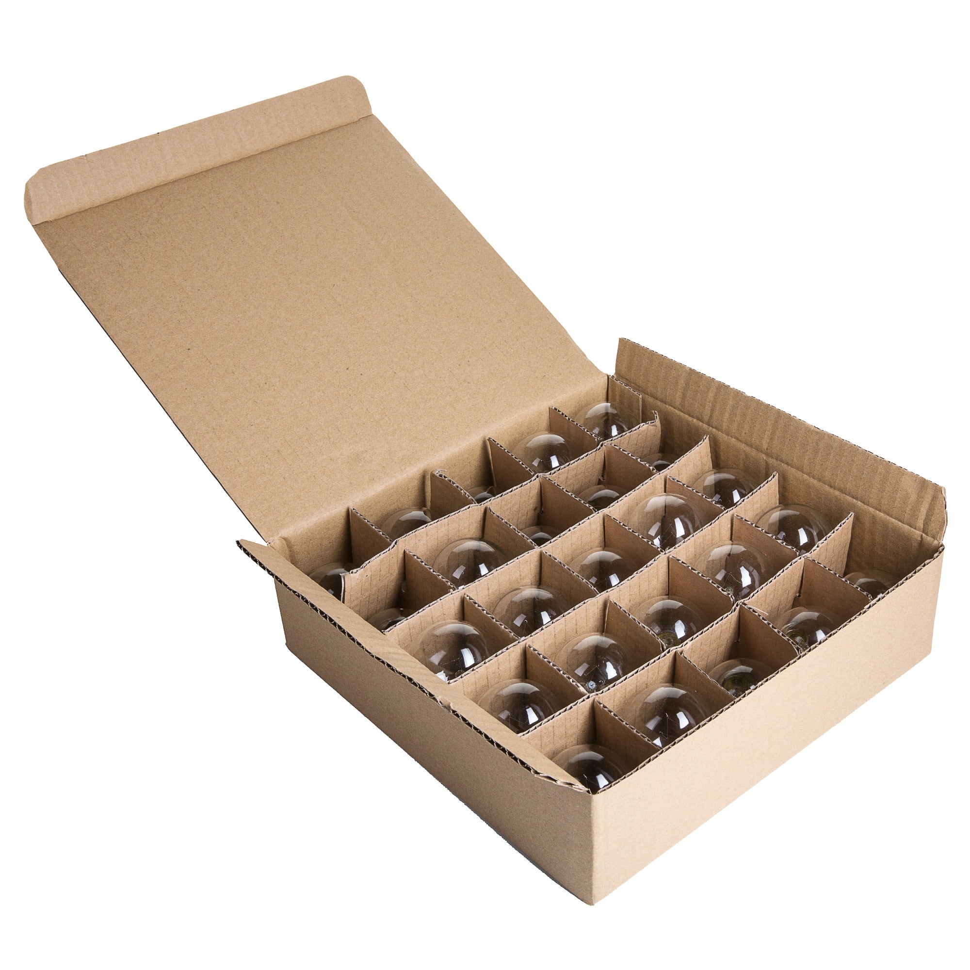 Hometown Evolution Inc G40CLBOX Case of (25) Clear G40 Globe Lights - Mycitystee