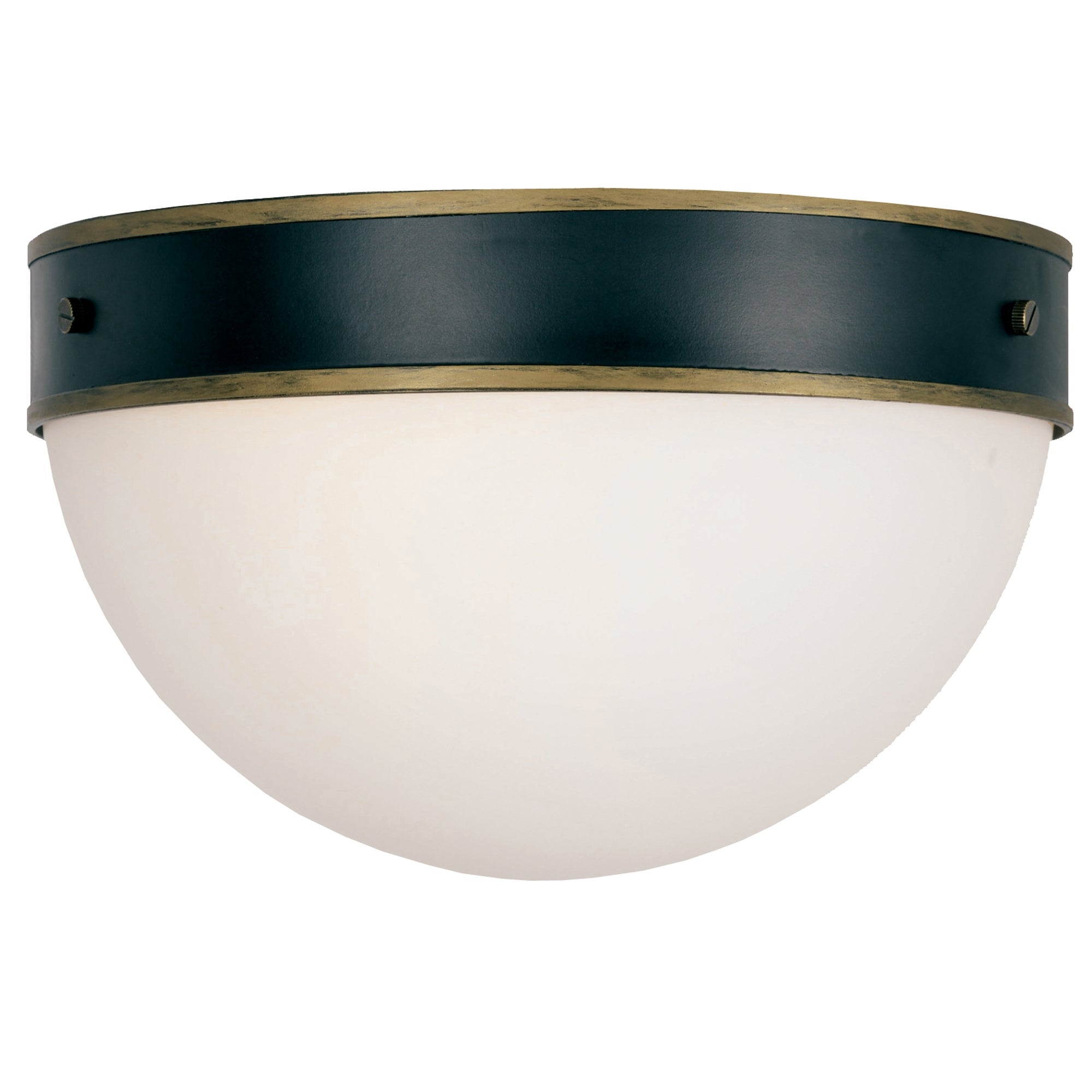 Brian Patrick Flynn for Crystorama Capsule Outdoor 2 Light Ceiling Mount - 12'' W x 8'' H - Mycitystee