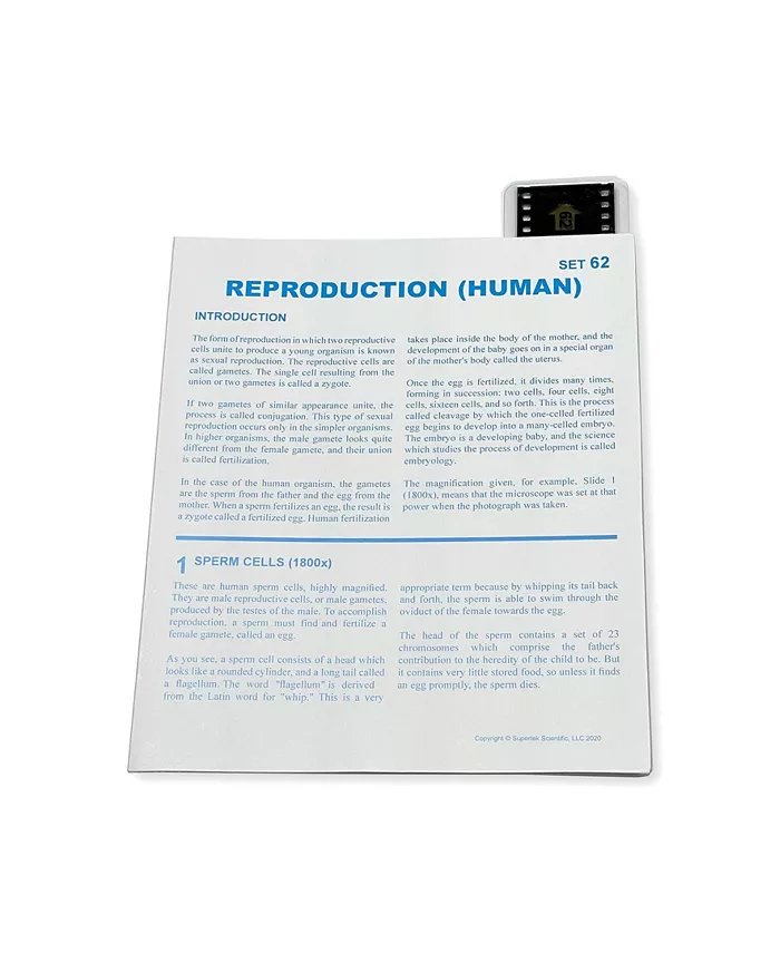 Supertek Microslide， Reproduction - Mycitystee