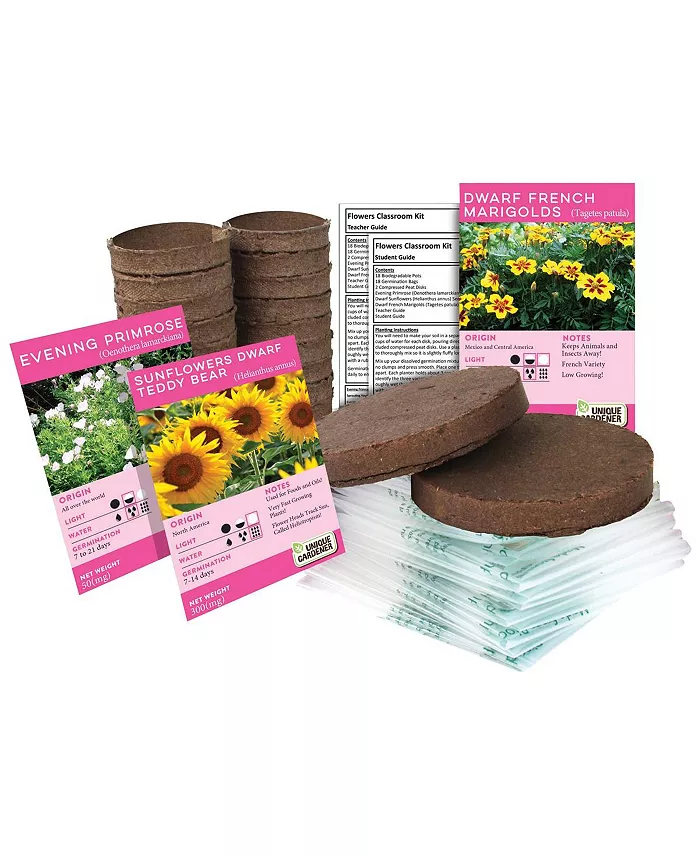 Silver Circle Growing Flowers Classroom Kit - Mycitystee