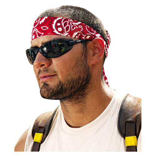 ergodyne Chill-Its 6700/6705 Bandana/Headband， One Size Fits All， Red Western (12305) - Mycitystee
