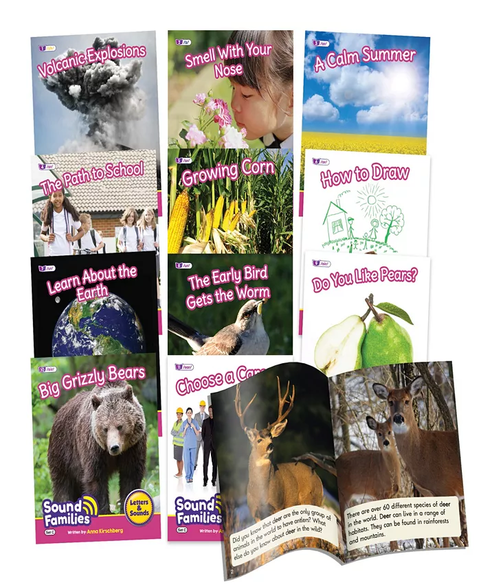 Junior Learning Decodable Readers Sound Families R-controlled Non-fiction Phase 5.5 - Mycitystee