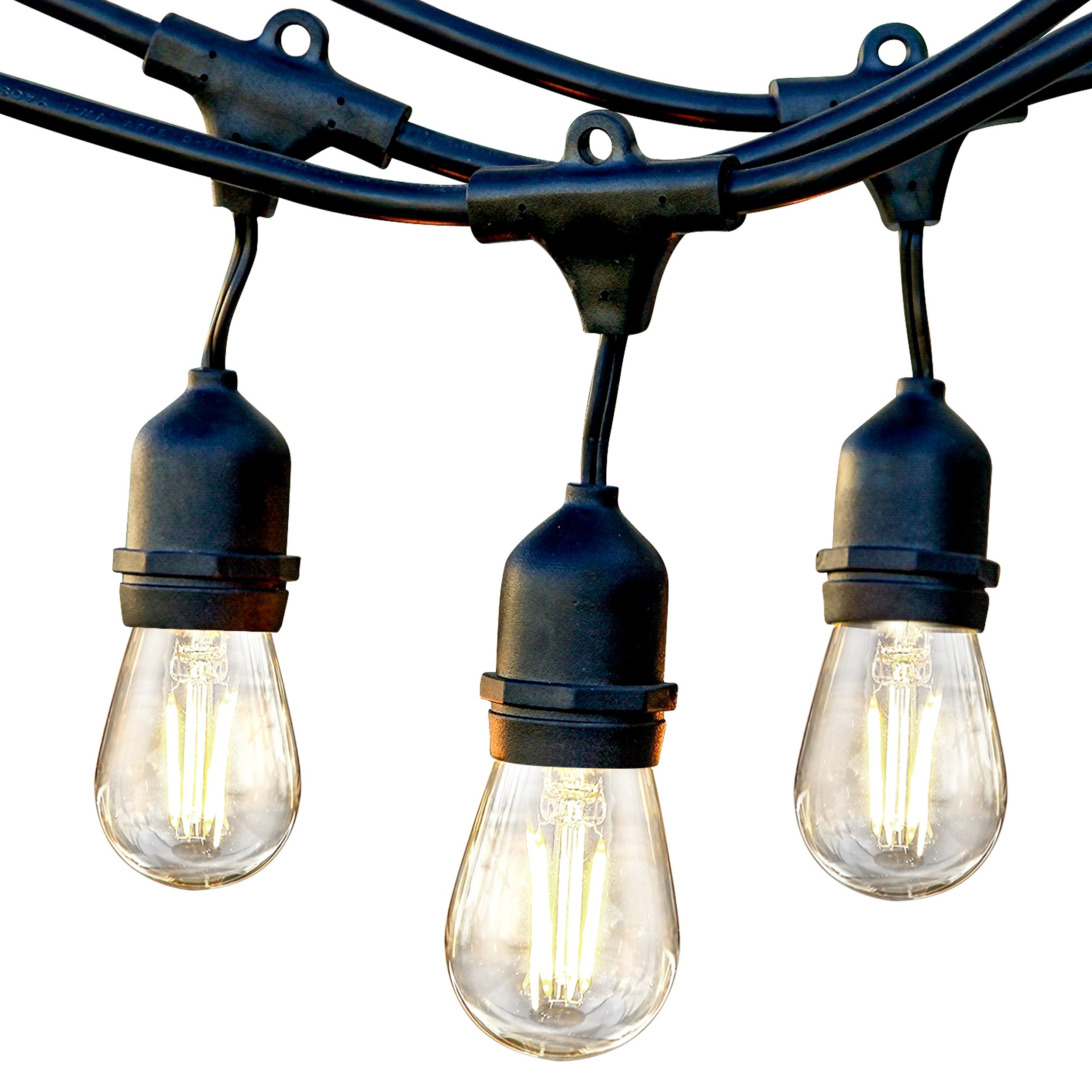 15 Glass LED Bulbs， 48 Ft Commercial Grade 2W String Lights - 3000K - Mycitystee