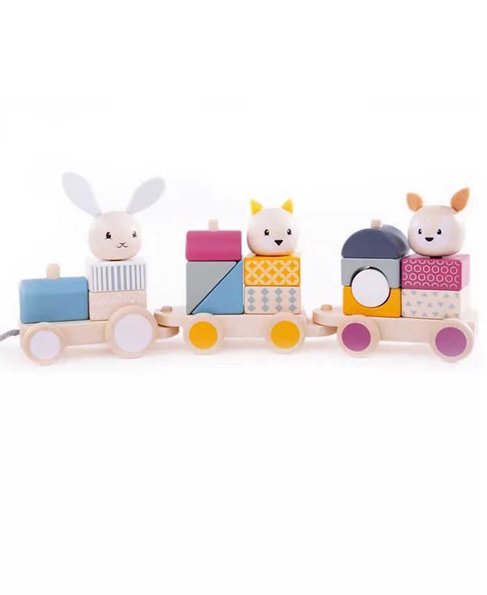 Bigjigs Toys - Activity Pull Along Train Set， 3 Piece - Mycitystee