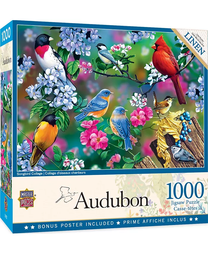 MasterPieces Puzzles Audubon - Songbird Collage 1000 Piece Puzzle Adult Jigsaw Puzzle - Mycitystee