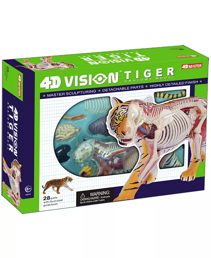 4D Master 4D Vision Tiger Anatomy Model - Mycitystee