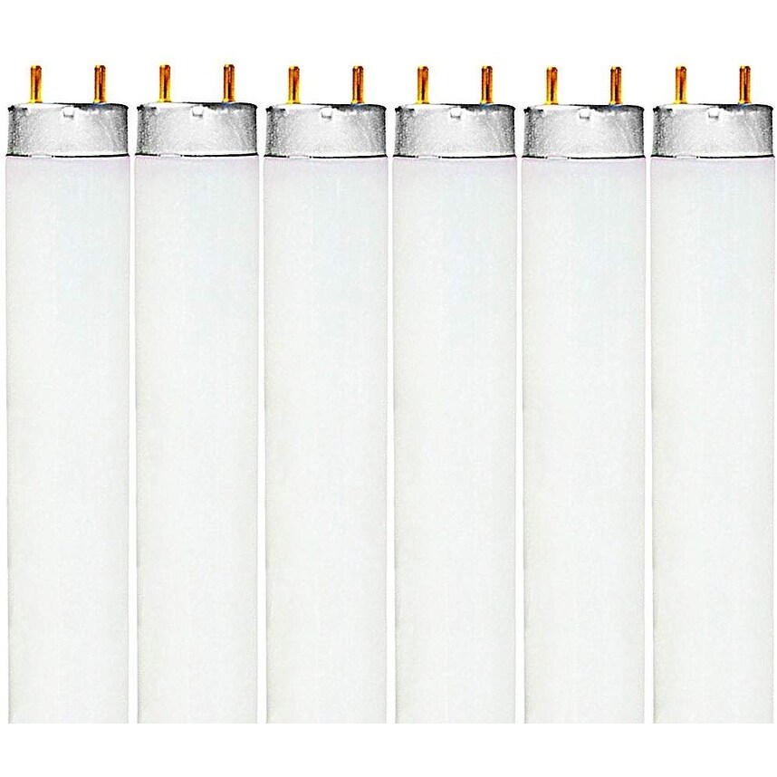 Luxrite 48 Inch T8 Fluorescent Tube Light Bulb 32W 4100K Cool White 2800 Lumens G13 Medium Bi-Pin Base (6 Pack) - Mycitystee