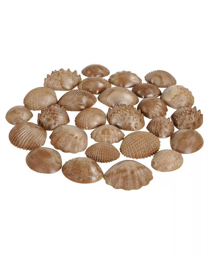 Learning Advantage Tactile Shells - Set of 36 - Mycitystee