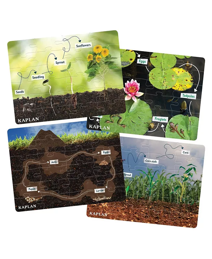 Kaplan Early Learning STEM Learning Realistic Animal and Plant Life Cycle Floor Puzzles - Set of 4 - Mycitystee