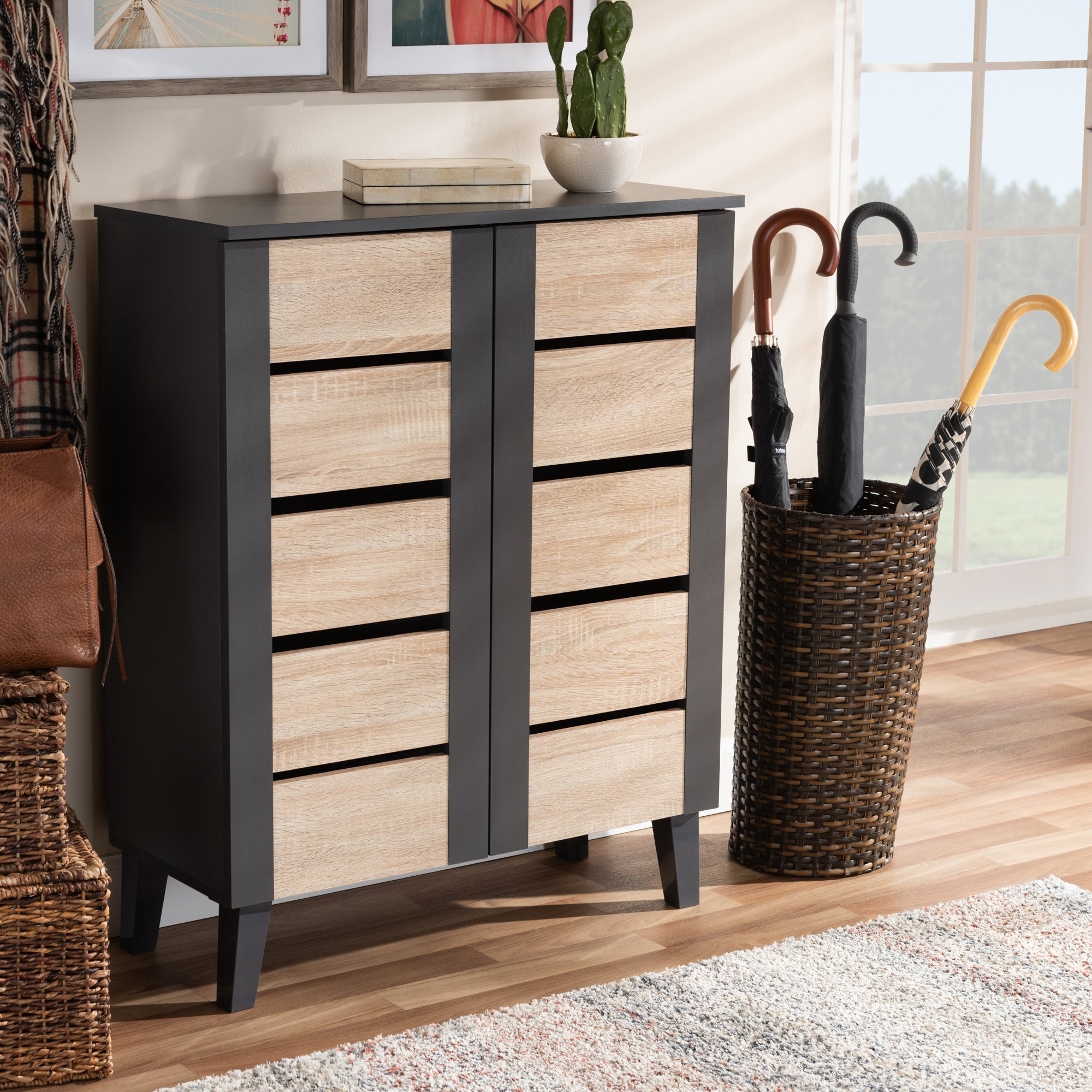 Modern and Contemporary Two-Tone 2-Door Shoe Storage Cabinet - - 27147072 - Mycitystee