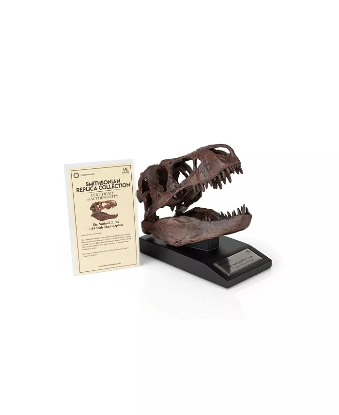 Master Replicas The Nation's T-Rex Skull Statue | Smithsonian Fossil Replica | 6-Inch Tall Tyrannosaurus Rex Desk Statue | 1:10 Scale - Mycitystee