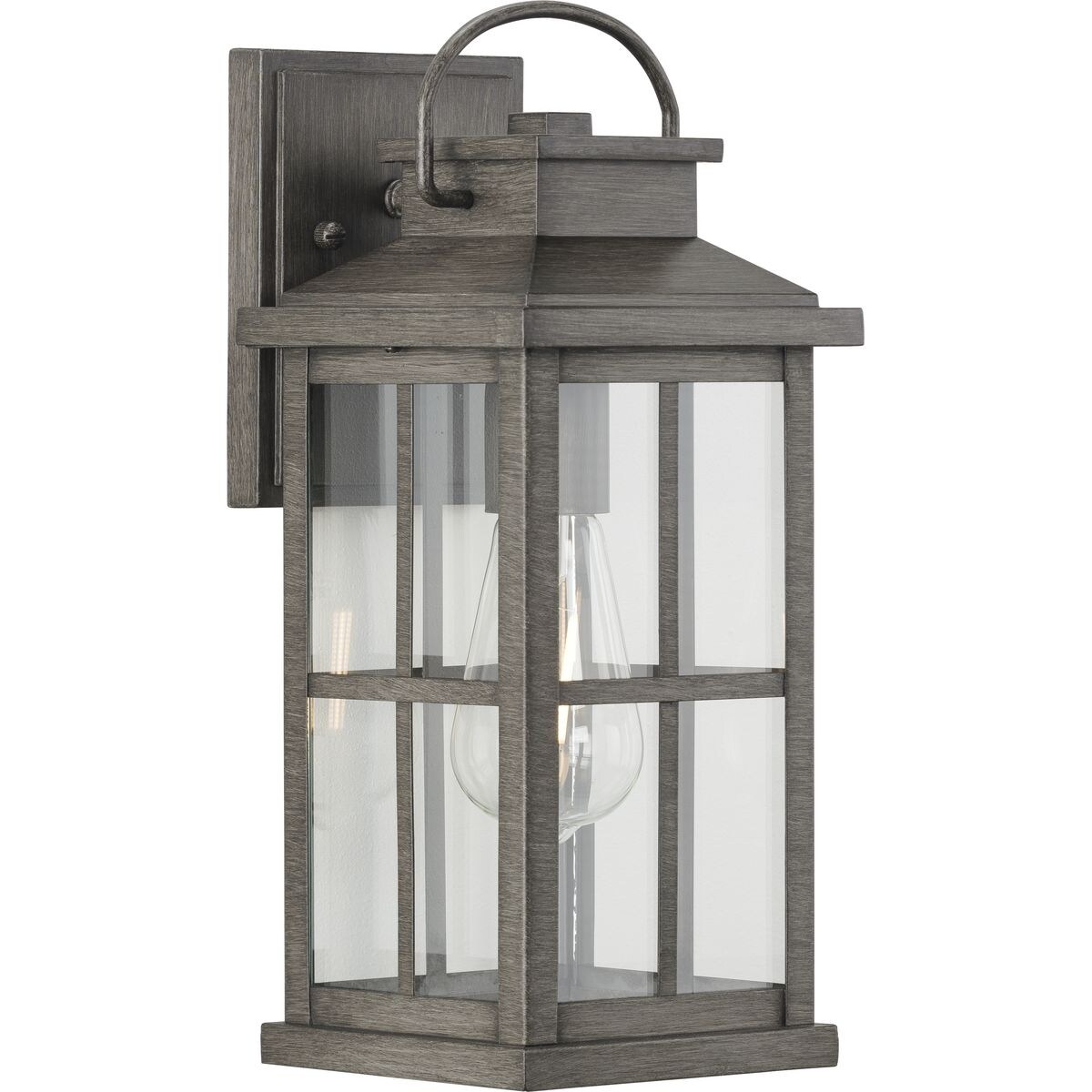 Williamston 1-Light Glass Antique Pewter Outdoor Medium Wall Lantern - 6 in x 7 in x 14.25 in - Mycitystee