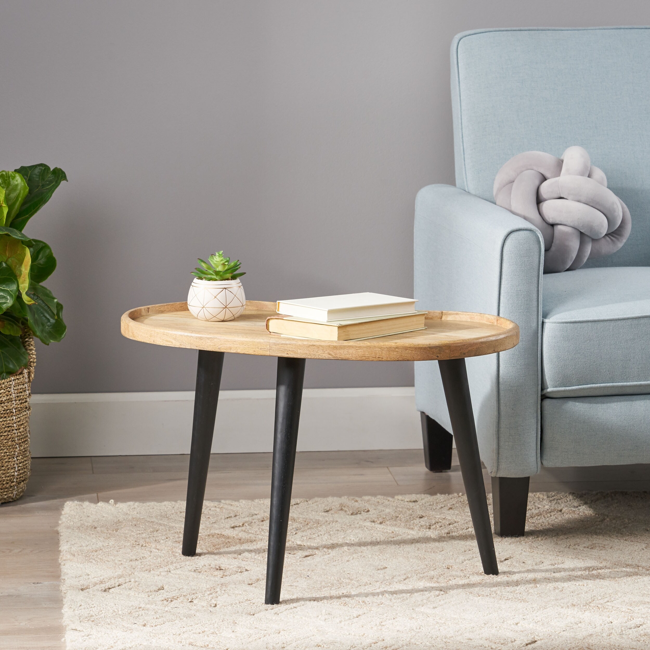 Catron Mango Wood Coffee Table by Christopher Knight Home - Mycitystee
