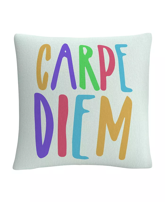 Baldwin ABC Typographic Modern Carpe Diem Color Decorative Pillow， 16