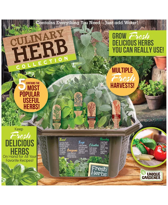 Areyougame Unique Gardener Biosphere Terrarium - Culinary Herb Collection - Mycitystee