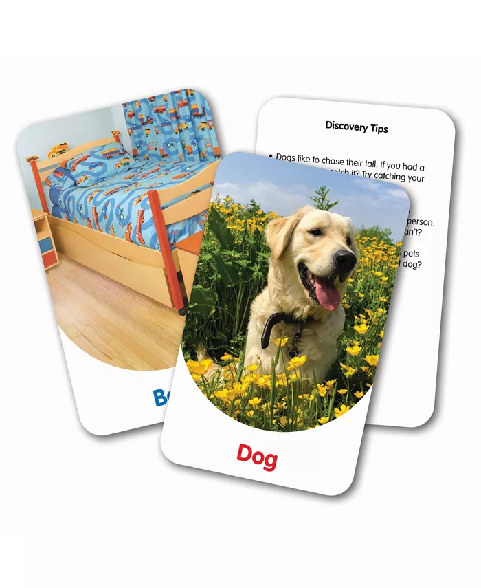 The Learning Journey Discovery Cards- In and Around - Mycitystee