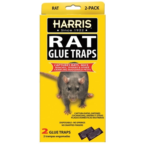 Harris HRG-2 Rat Glue Trap - pack of 2 - Mycitystee