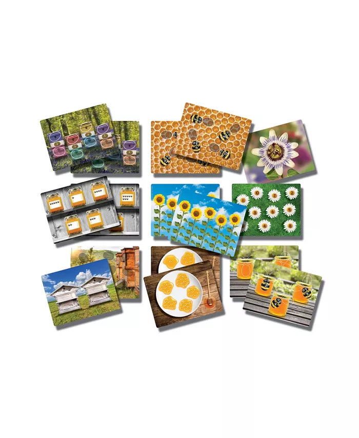 Yellow Door Honey Bee Early Number Cards， Set of 16 - Mycitystee