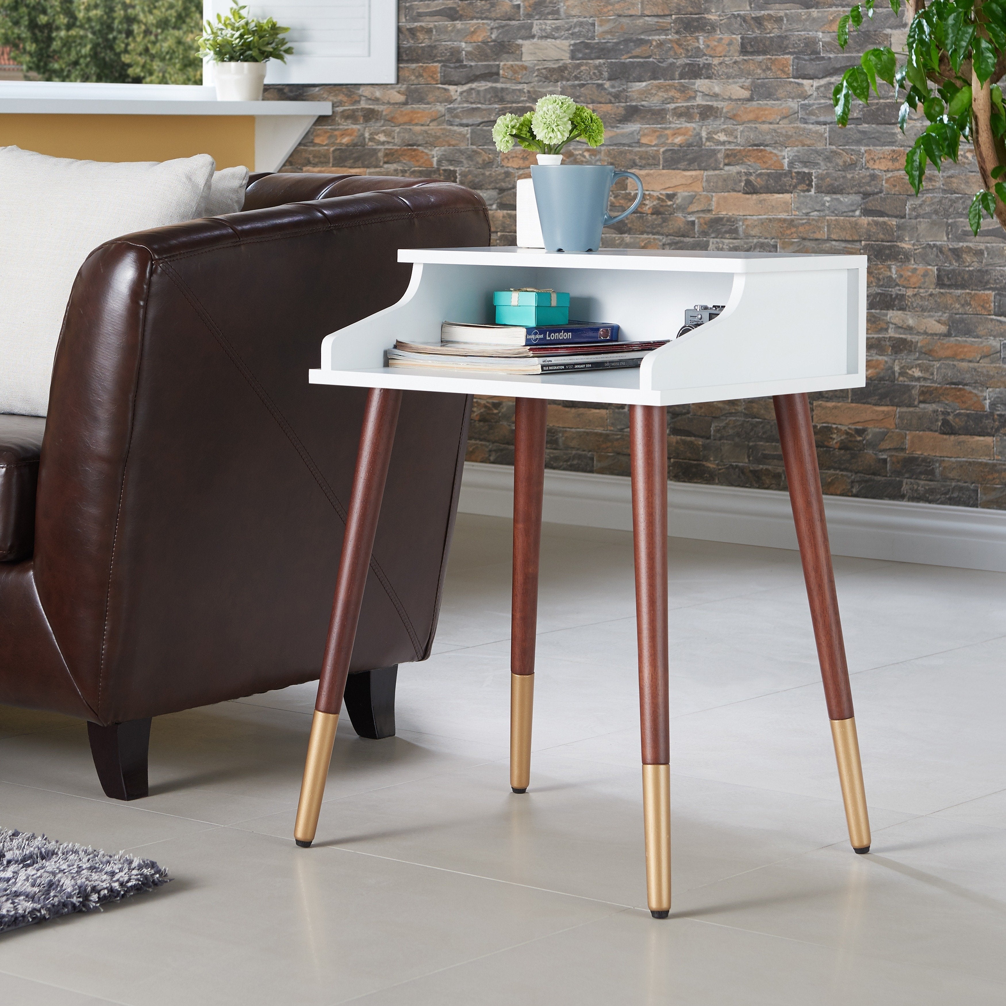 Furniture of America Jeri Mid-Century Modern 20-inch 1-shelf Side Table - Mycitystee