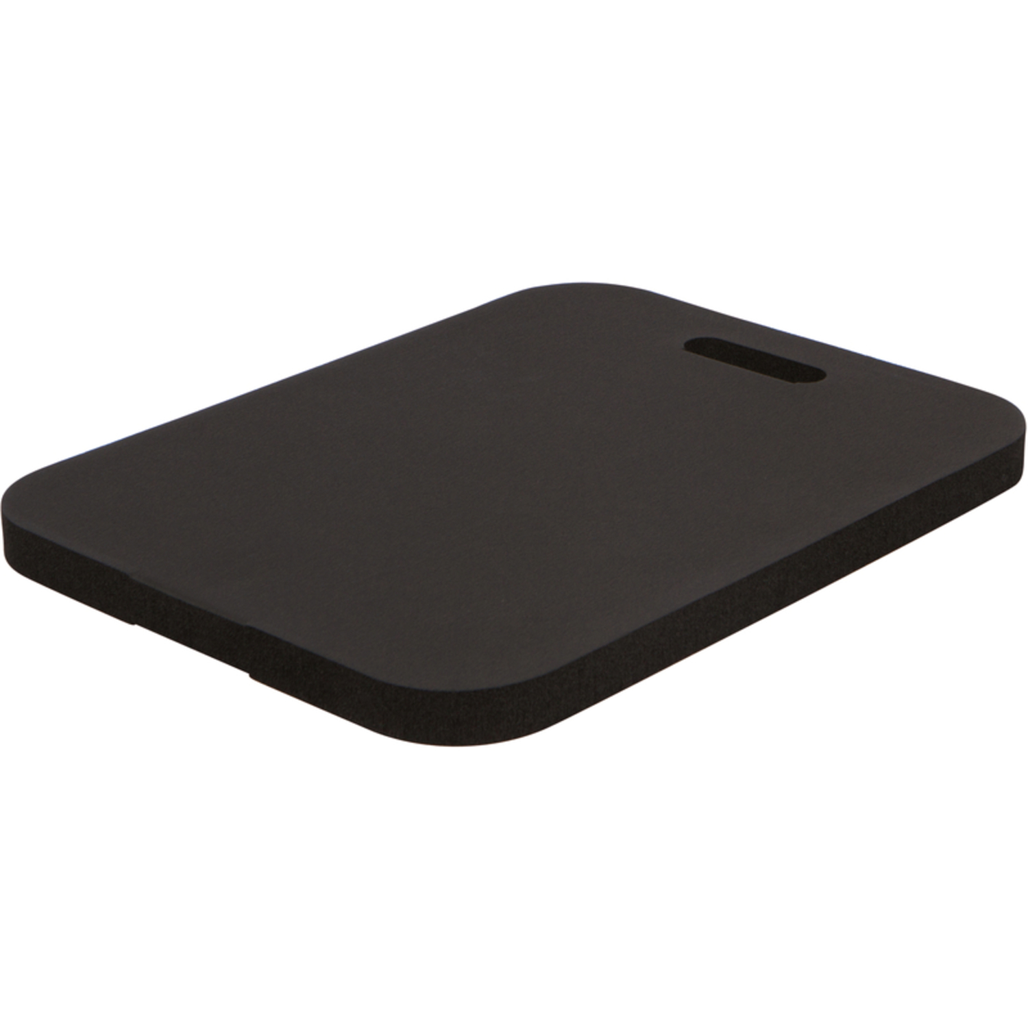 Earth Edge The Pad 20 in. W X 15 in. D Black Kneeling Pad - Mycitystee